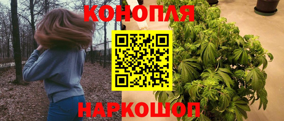 Каннабис сатива Урюпинск